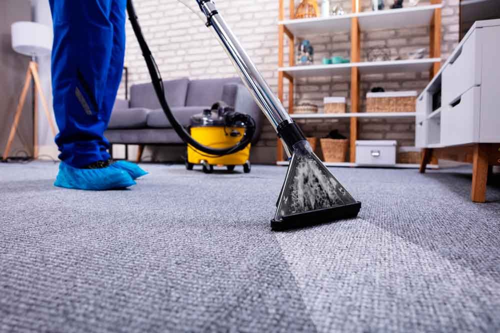 Profissional lavando carpete de sala com extratora